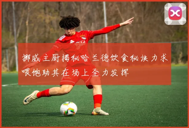 挪威主厨揭秘哈兰德饮食秘诀力求喂饱助其在场上全力发挥