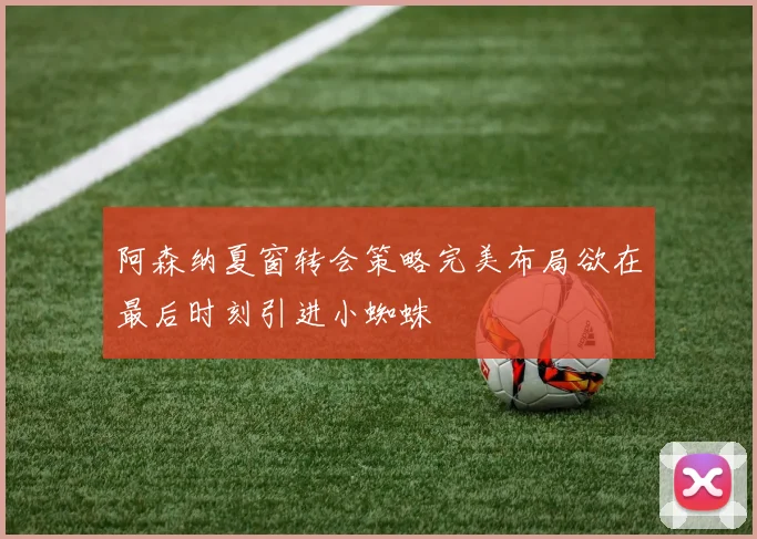 阿森纳夏窗转会策略完美布局欲在最后时刻引进小蜘蛛